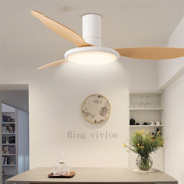 New Nordic minimalist Bing vision design fan lamp decorative acrylic LED lighting dimmable bedroom fan lamp